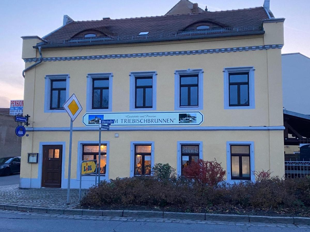 Fewo Am Triebischbrunnen Meissen Bagian luar foto